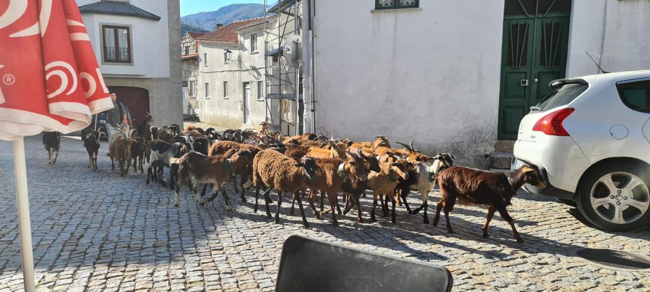 Casa Na Serra, Sabugueiro Sabugueiro  Esterno foto